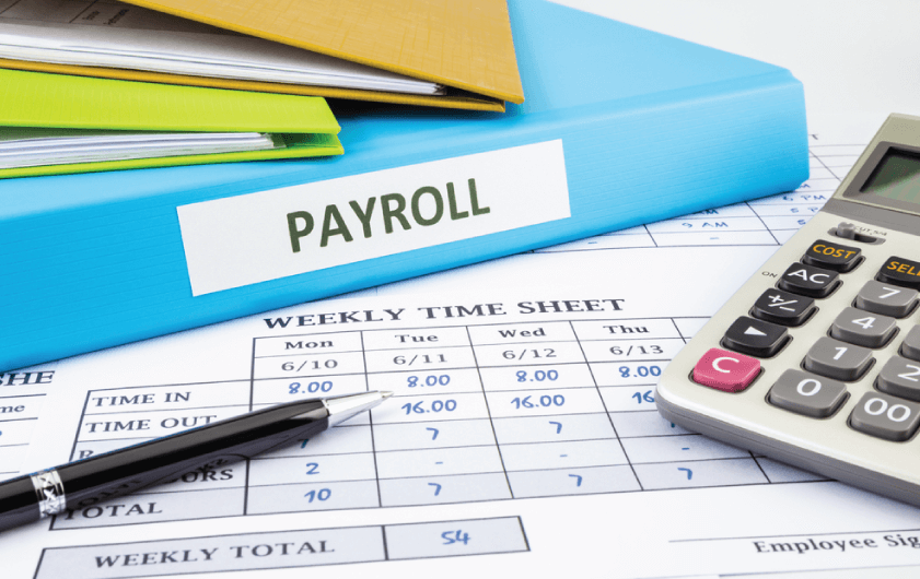 Professional Payroll Services